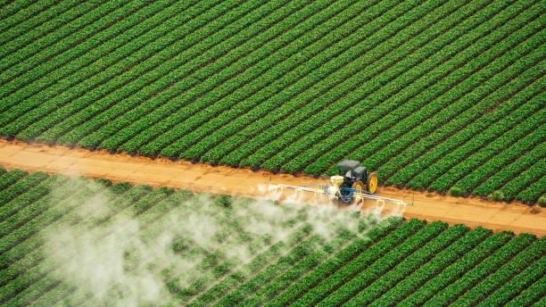 Reliable South Palm Beach, FL Pest Control Solutions