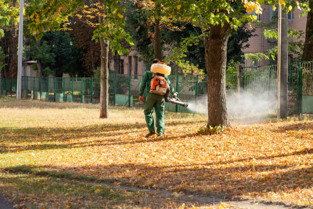 Pest Control Cost in South Palm Beach, FL