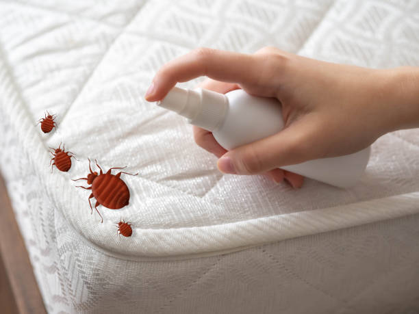 Best Pest Prevention Services  in South Palm Beach, FL