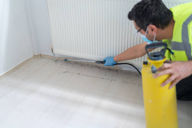 Best Affordable Pest Control Services  in South Palm Beach, FL